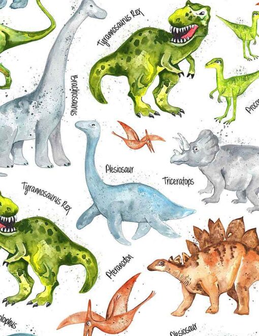 Dinos and Names