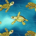 Surf's Up - Michael Miller Fabrics