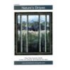 Nature's Stripes - Pattern - Northcott