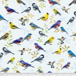 Song Birds - P&B