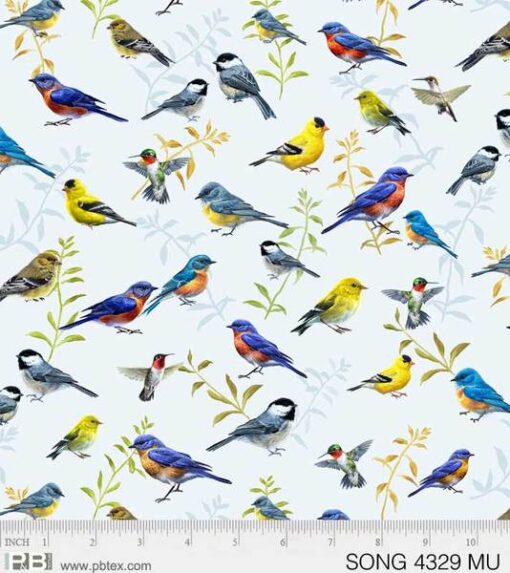 Song Birds - P&B