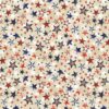 Patriotic Various Stars