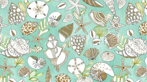 Shells (Multi) - dear Stella