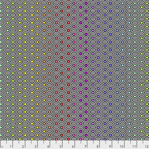 HEXY RAINBOW - INK - TULA PINK