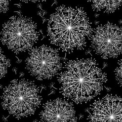 Dandelion White/Black