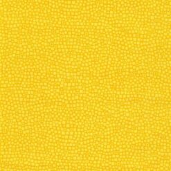 Blockbuster Basics - Sun