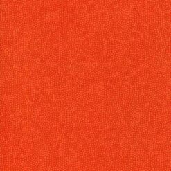 Blockbuster Basics - Orange