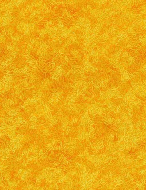Meadow Sun