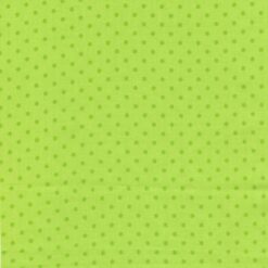 Spring Dot