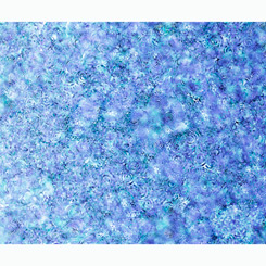 EFFERVESCENCE LIGHT BLUE