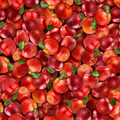 FRESH - Apples