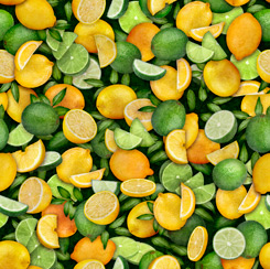 FRESH - Lemons & Limes