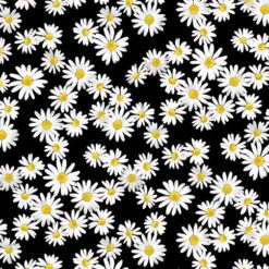 SWEET DAISIES BLACK