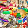 Cats Chilling on the Beach