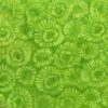 Delight Batik Grass Mums