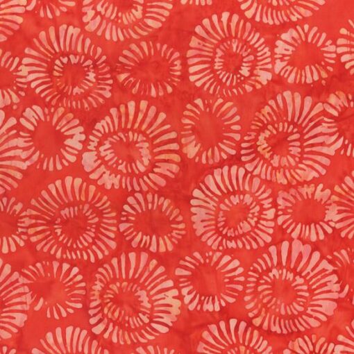 QE5 DELIGHT: 422Q-4 CORAL