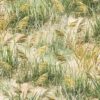 Sea Grass Natural