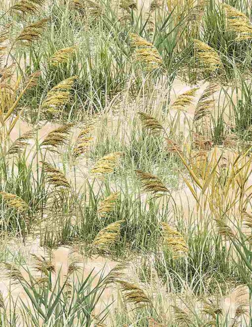 Sea Grass Natural