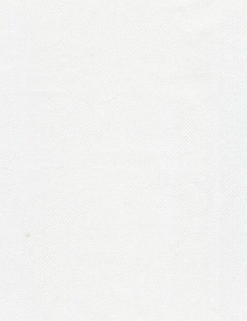Surface Screen - Pearl