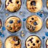 Blueberry Muffin Tin Multi