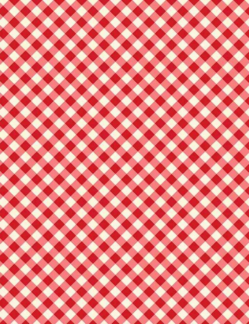 Timeless Treasurers - Vintage Diagnal Gingham