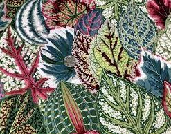 Kaffe Fassett Coleus Green