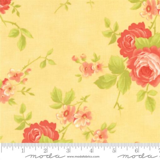 Chantilly-Daisy Cabbage Rose Large Floral