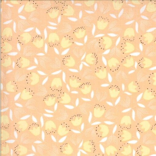 Chantilly-Forget Me Nots-Melon #2