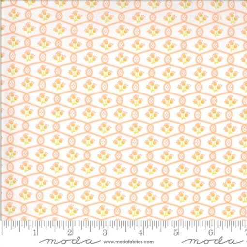 Chantilly-Trellis Melon