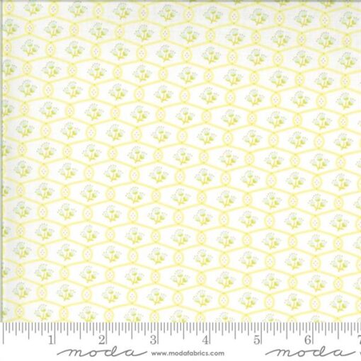 Chantilly-Trellis Seafoam