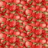 Strawberry Garden-Packed Strawberries