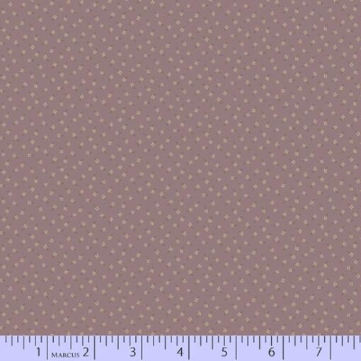 Toolbox Basics/ Drywall Prints-Purple