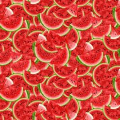 Watermelon Party - Packed Watermelon Slices