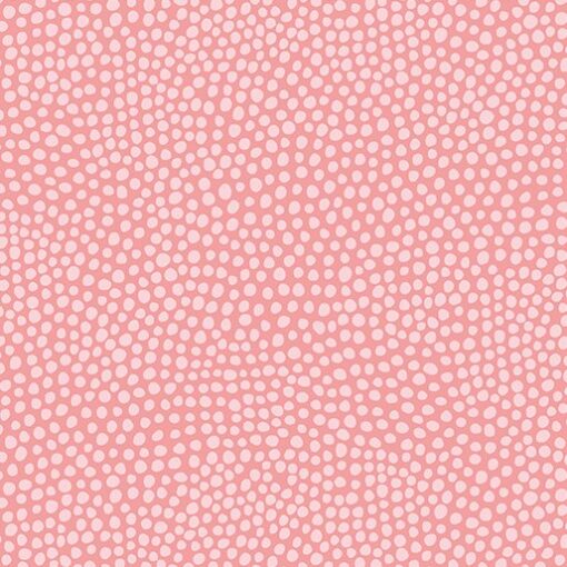 Dew Drops Coral