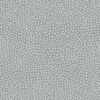 Dew Drops Nickel