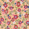 Primrose Path Apricot
