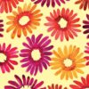 Sunburst Daisy Burst Butter