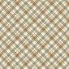 Wildwood Diagnol Plaid - Olive