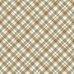 Wildwood Diagnol Plaid - Olive