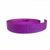 Glitter Webbing - Purple