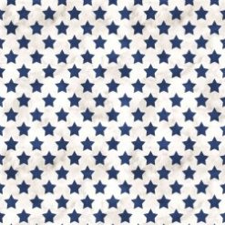 Set Stars - Farmhouse Americana Fame