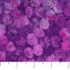 Concerto Purple Dots