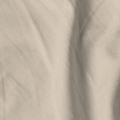 QT Shades - Solid Dye - Muslin
