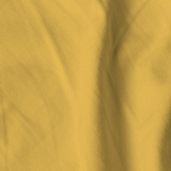 QT Shades - Solid Dye - Mustard