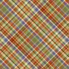 Cornucopia Harvest - Multi- Diagonal Plaid