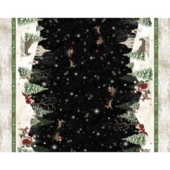 Believe - Santa's Scenic Double Border