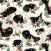 Believe - Santa's Scenic
