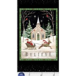 Believe - Believe Panel