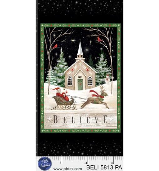 Believe - Believe Panel