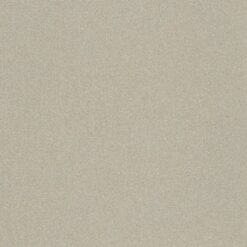 Starlight Metallics - Champagne
